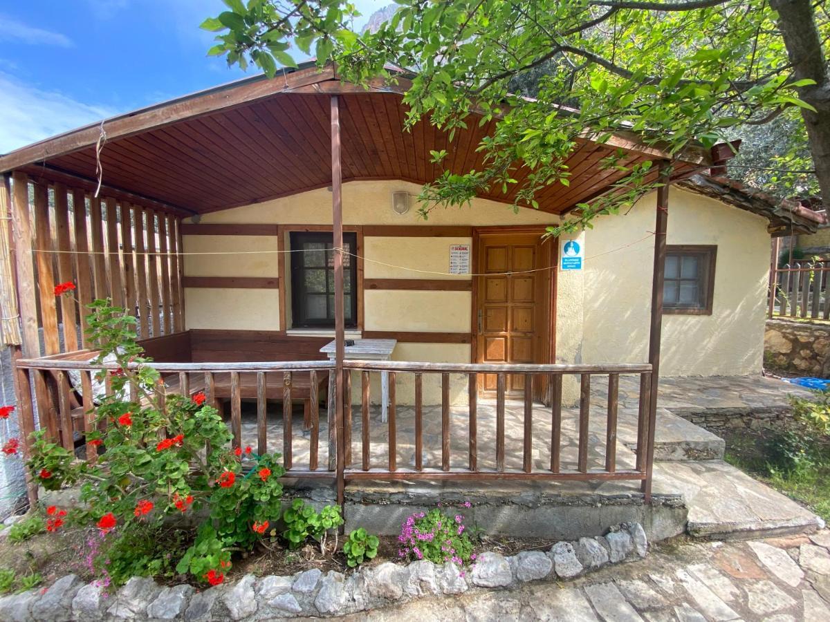 Kidrak Otel Montenegro-1 Faralya Buitenkant foto